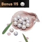 900 Echo Beads