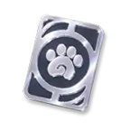 Advanced Companion Handbook