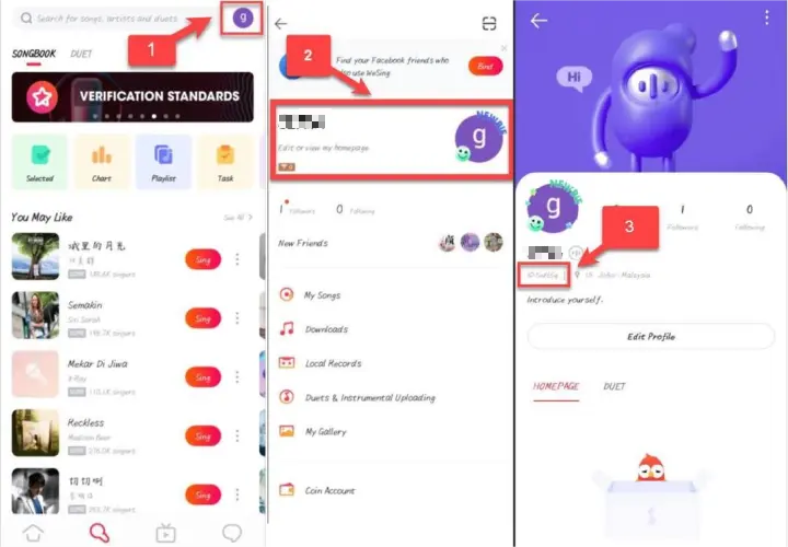 How to check WeSing ID