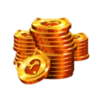 60 Big Cat Coins