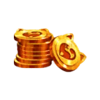 24 Big Cat Coins