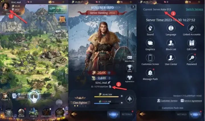 วิธีตรวจสอบรหัส Vikingard