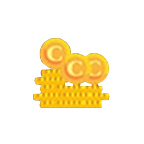 2499 C Coins