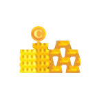 19999 C Coins