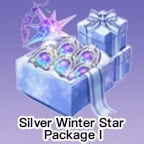 Silver Winter Star Package I