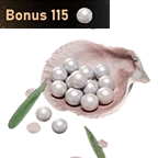 900 Echo Beads