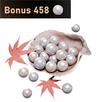 3000 Echo Beads