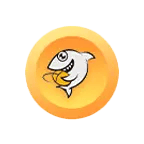 2000 Shark Fin