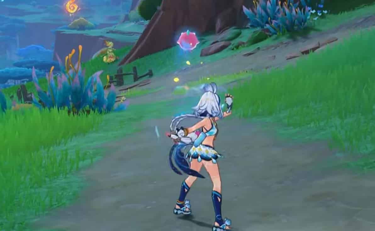 如何检查玛拉妮——原神5.0版本上半期祈愿池新角色分析ID