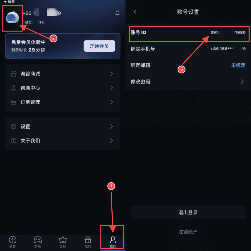Как проверить идентификатор Ускоритель SeaWhale