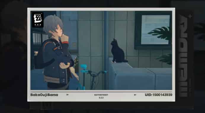 How to check How to Take A Picture In Zenless Zone Zero: A Detailed Guide with Pictures ID