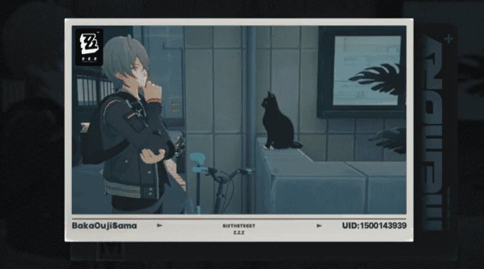 如何检查如何在绝区零中拍照？ID