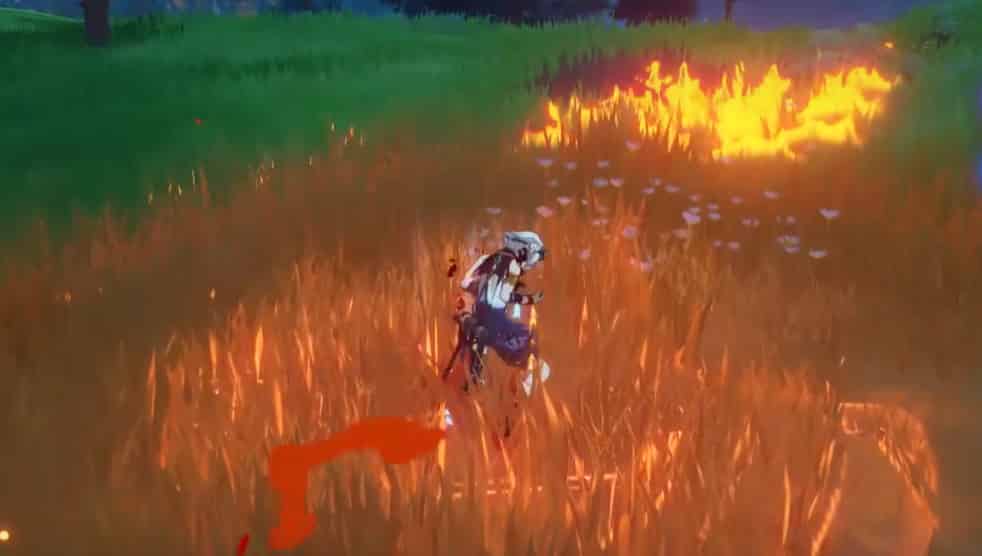 How to check Bennett vs lansan: A Comprehensive Comparison ID