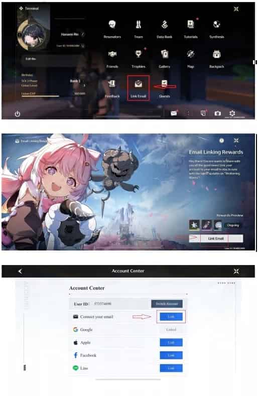 Como verificar o ID de 