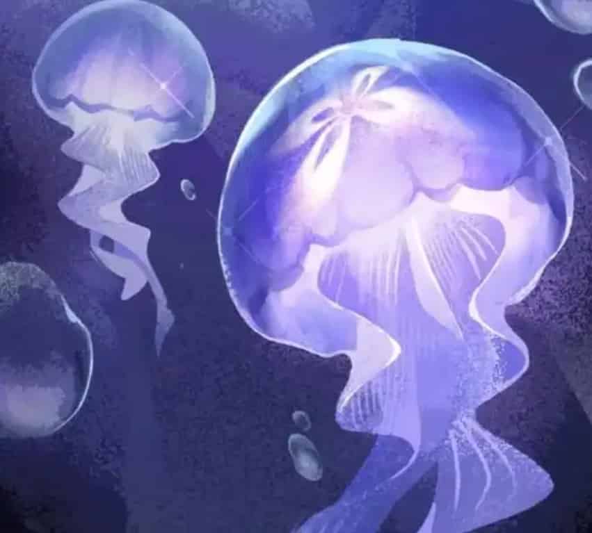 如何檢查崩壞星穹鐵道3.6版本爆料：聯動、三月七SP、丹恆SP及上線時間ID