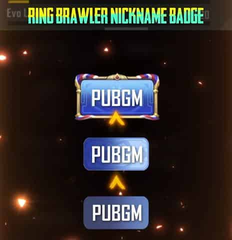 如何檢查PUBG MOBILE 推出4v4人氣對戰模式｜完整玩法與獎勵說明ID