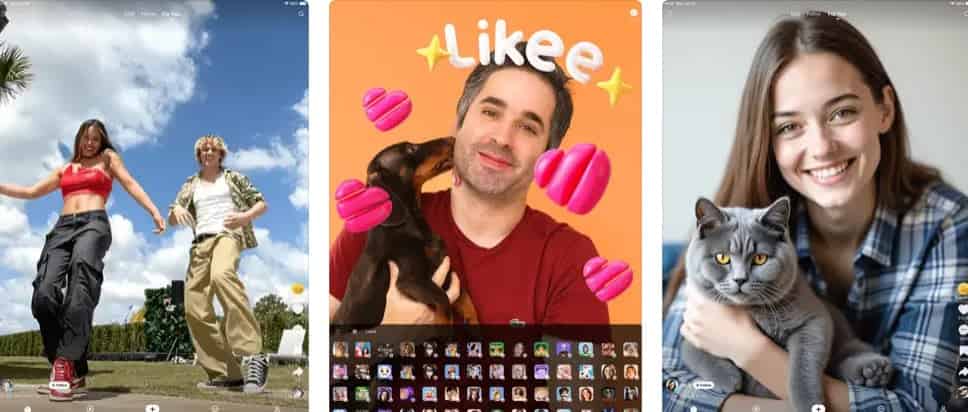 如何检查像:您需要知道的一切(2025指南)ID