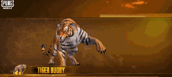 How to check PUBG MOBILE New Tiger Buddy & 3 Buddy Sets Available Now ID