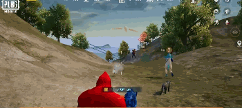 如何检查PUBGmobile 新老虎伙伴和有趣套装皮肤来袭!ID