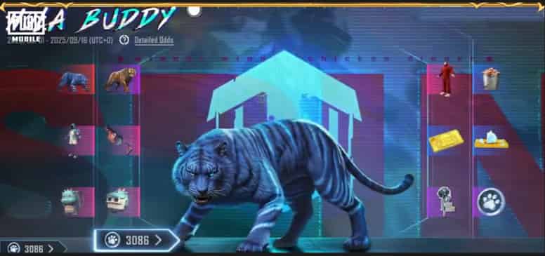 如何检查PUBGmobile 新老虎伙伴和有趣套装皮肤来袭!ID