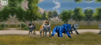 如何檢查《PUBGmobile》全新老虎伙伴和超有梗套裝皮膚登場！ID