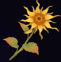 How to check WuWa Augusta Build: Materials, Best Weapons, Resonance Chain, Echo Sets, and Teams ID