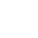 How to check WuWa Augusta Build: Materials, Best Weapons, Resonance Chain, Echo Sets, and Teams ID