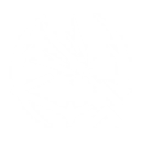 How to check WuWa Augusta Build: Materials, Best Weapons, Resonance Chain, Echo Sets, and Teams ID