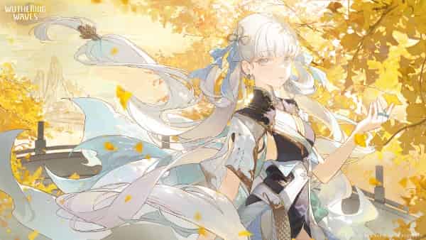 How to check WuWa 2.6 Character Tier List: Best DPS & Support ID