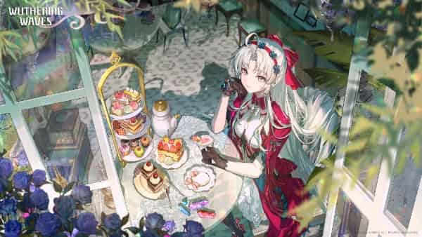 How to check WuWa 2.6 Character Tier List: Best DPS & Support ID