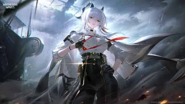 How to check WuWa 2.6 Character Tier List: Best DPS & Support ID