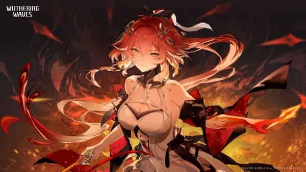How to check WuWa 2.6 Character Tier List: Best DPS & Support ID