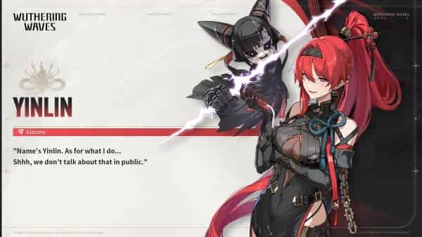 How to check WuWa 2.6 Character Tier List: Best DPS & Support ID