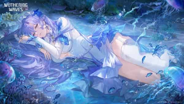 How to check WuWa 2.6 Character Tier List: Best DPS & Support ID