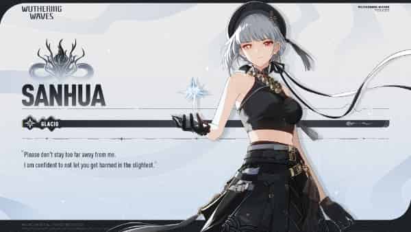 How to check WuWa 2.6 Character Tier List: Best DPS & Support ID