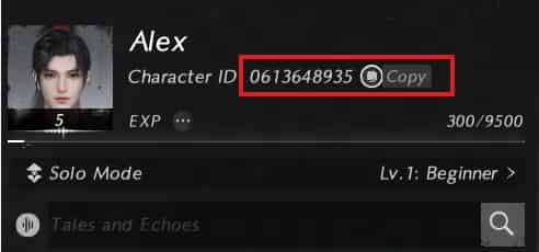 How to check Where Winds Meet (only PC) ID