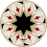 How to check Zenless Zone Zero 2.5 Astra Yao Build: W-Engine, Drive Disc, Materials & Team Comps ID