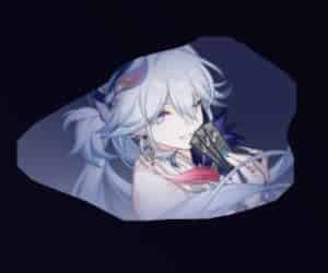 How to check HSR 4.0 Yao Guang V1 Kit and Detailed Explanation of the Elation ID