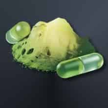 How to check Arknights: Endfield Best Potions & Consumables Guide – Damage Buffs, Recovery and Combat Prep ID