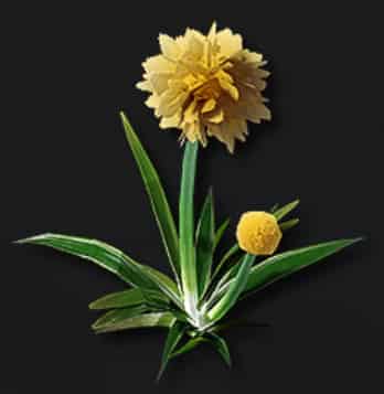 How to check Arknights: Endfield Best Potions & Consumables Guide – Damage Buffs, Recovery and Combat Prep ID