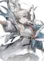 perlica_resized.jpg