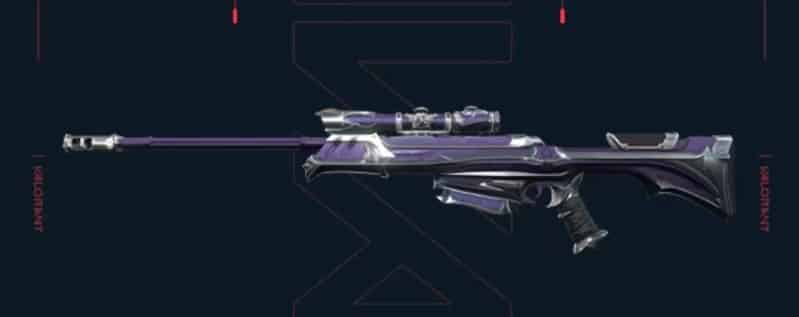 r_resized.jpg