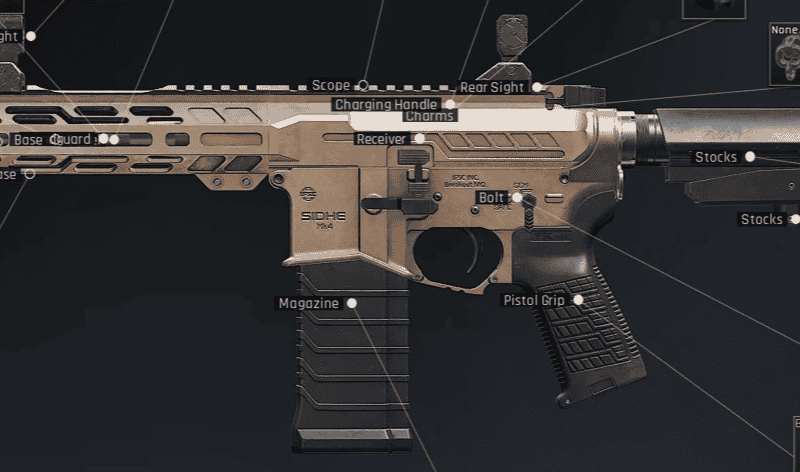 bsg_resized (1).png