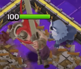 pet.png