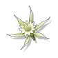 T_IconC_078_UI_resized.webp