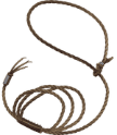 1785304848_CHhmpectfF_resized.png