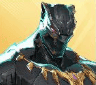 11.png