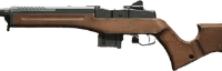Mini-14_resized.webp
