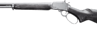 ML_resized.webp