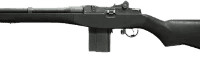 M14_resized.webp